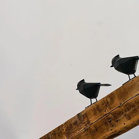 La Voliere - Les Demeures D'adrien Appartement *