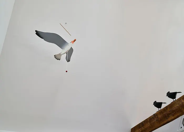 La Voliere - Les Demeures D'adrien Lille